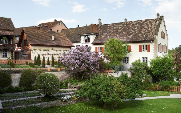 Blick in den Garten